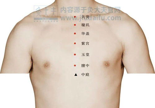 小雪 节气养生正当时,冬日滋补秘诀,看这篇就够啦