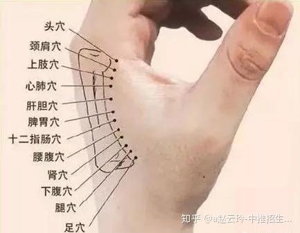 这块骨头硬的人,一般都长寿,为什么