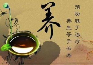 壳好睡眠 第四波寝具革命引领者