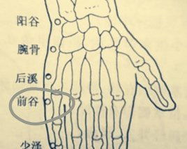 养生系列之穴位篇43 少泽 前谷 后溪 腕骨之说