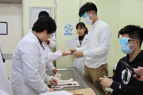 通讯 2020年摸骨 摸骨大赛 于临床解剖中心顺利举行