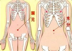 日常经络养生 手 头 脸 耳 腿 身体穴位