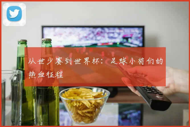 从世少赛到世界杯：足球小将们的热血征程