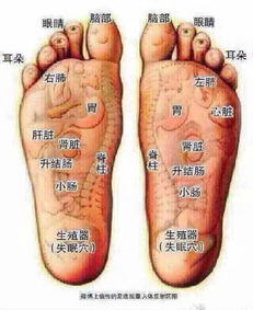 筋、骨、肉、脉、皮毛 中医养生五要素与摸骨养生法