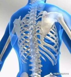 骨骼保养已刻不容缓 骨健宝为国人撑起民族的脊梁——全国骨骼养护日特别报道