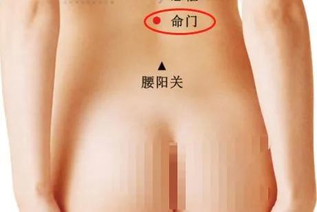 脊柱 男人的龙脉，女人的凤骨——艾灸与摸骨养生，让疾病去无踪